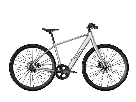 Aventon Soltera 3 ADV Electric Bicycle Gates Carbon Belt Drive