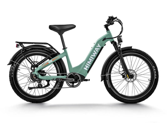 Himiway D5 ST Electric Fat Tire Mountain Bike 750W