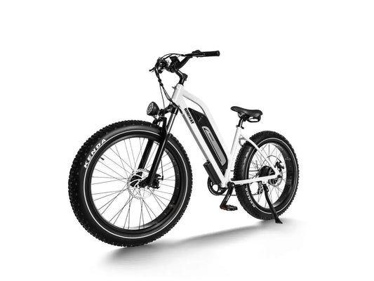 Himiway D3 ST All-Terrain Step-Thru Electric Bike 750W