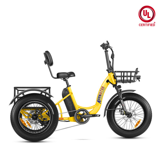 Addmotor Triketan M-330 750 Electric Trike