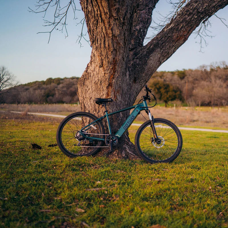 D1RT Electric Mountain Bike - Ride the Trails image 4