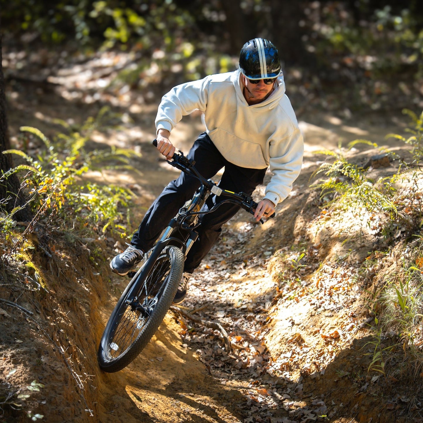 L1NE E-Mtb EBOC Edition image 3