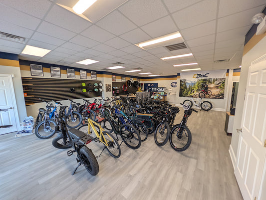 Cargo E-Bikes vs Traditional Family Bikes: Which is Better for Lake County Families?