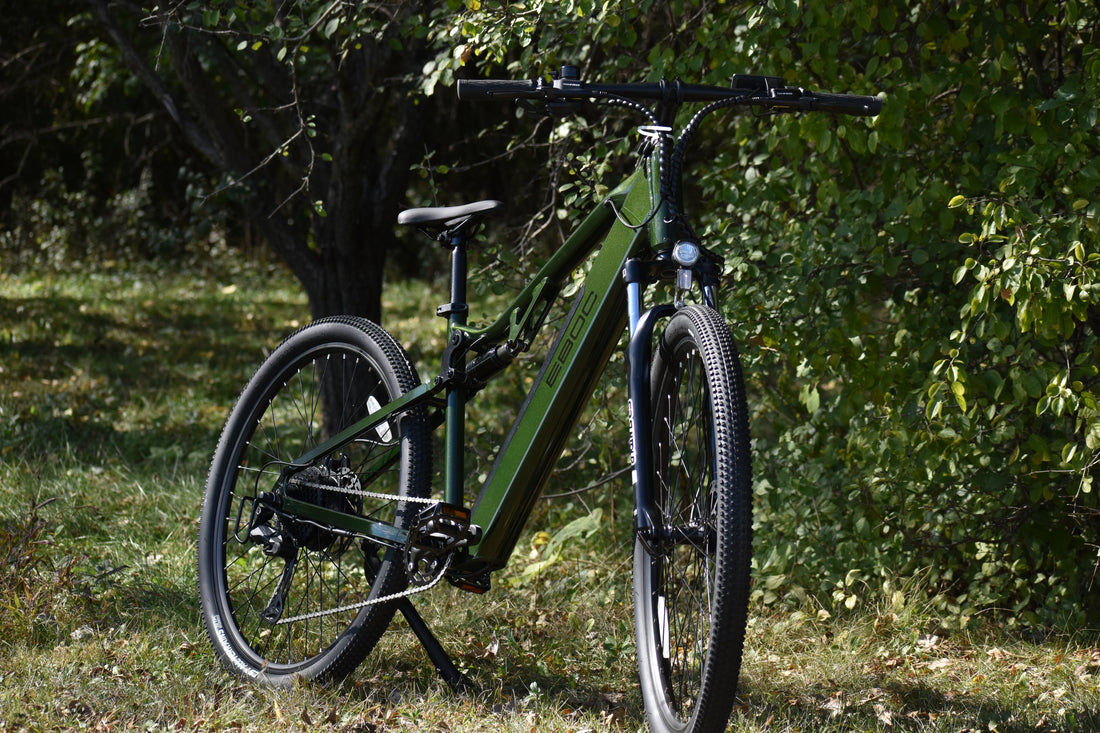 The Future of Sustainable Transport: How E-Bikes Are Revolutionizing Business and Family Rides