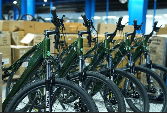 Trail or City? Your Guide to Choosing the Perfect E-Bike for Any Adventure