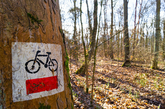 Exploring Lake County's Hidden Gems: Weekend E-Bike Adventures from Grayslake
