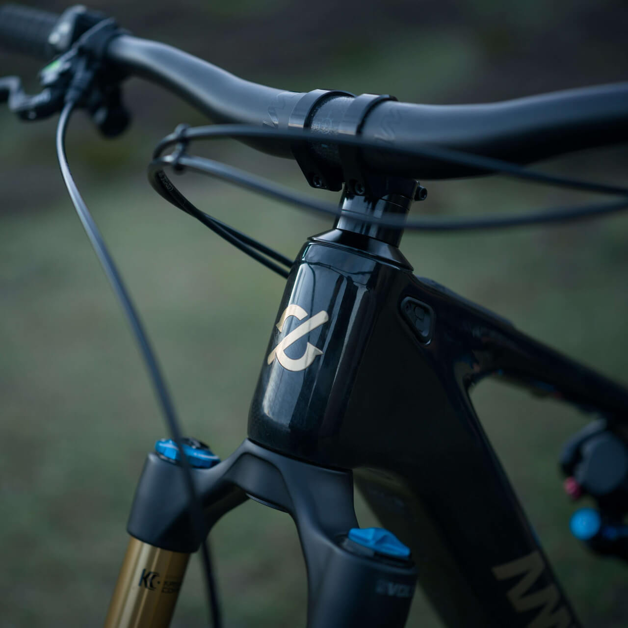 Amflow PL Carbon Electric Mountain Bike