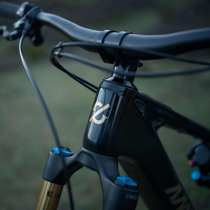 Amflow PL Carbon Electric Mountain Bike
