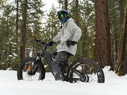 Himiway D7 Full Suspension 1000W Electric Hunting Bike