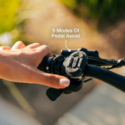 Lectric eBikes XPress2 Cruiser Electric Bike