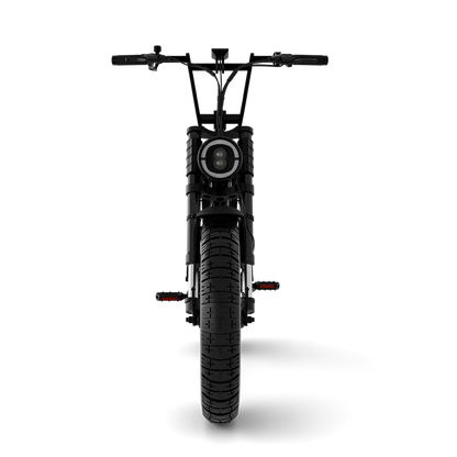 Raider ST image 2