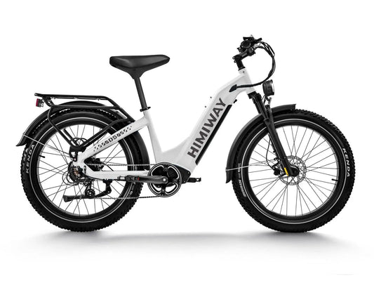 Himiway D5 ST Electric Fat Tire Mountain Bike 750W