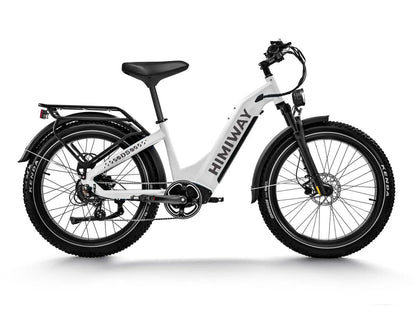 Himiway Zebra ST D5 Electric Fat Tire Mountain Bike 750W
