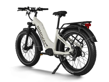 Himiway Zebra ST D5 Electric Fat Tire Mountain Bike 750W