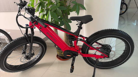 Trail Whip image 1