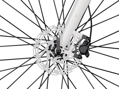 Heybike Venus Electric Commuter Bike 750W