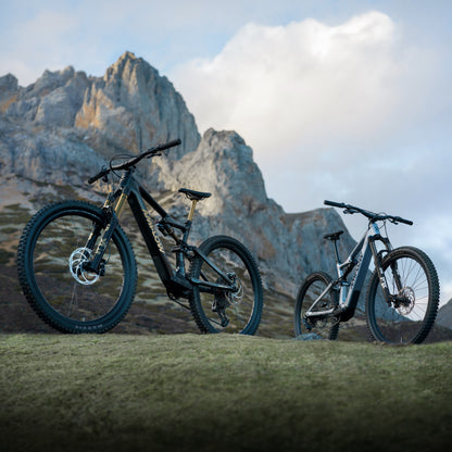 Amflow PL Carbon Electric Mountain Bike 800Wh