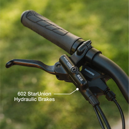 Lectric eBikes XP4 750 Step-Thru Electric Bike