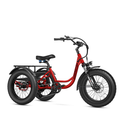 Addmotor Landtan M-300 750 Electric Trike