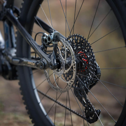 Amflow PL Carbon Electric Mountain Bike