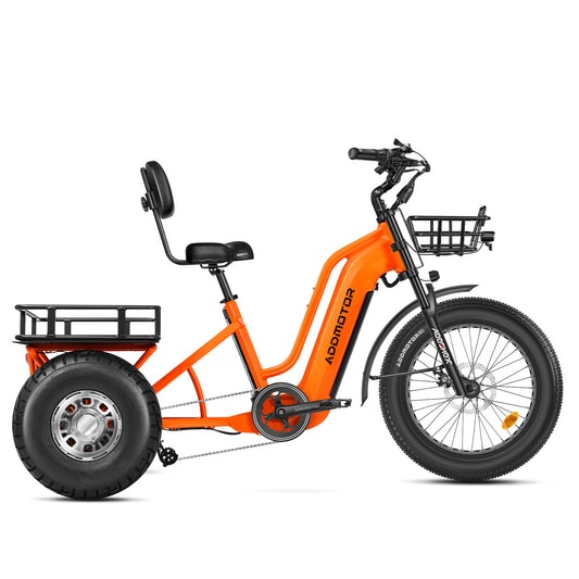 Addmotor Greattan D 750 Cargo Electric Trike