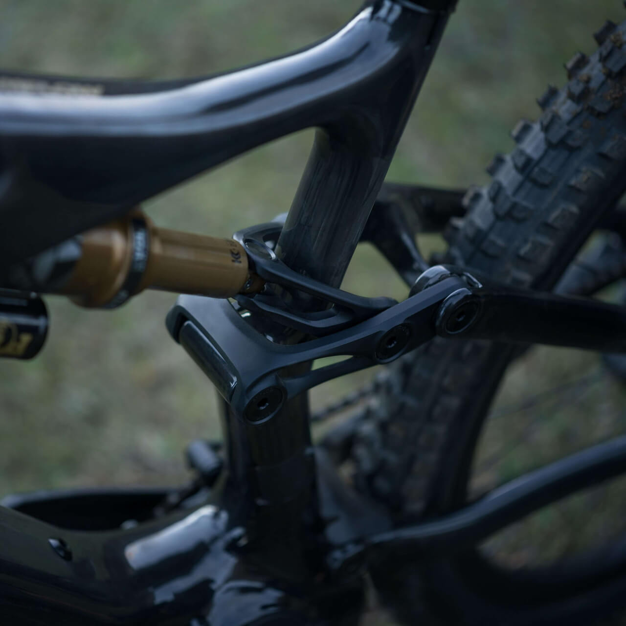 Amflow PL Carbon Electric Mountain Bike
