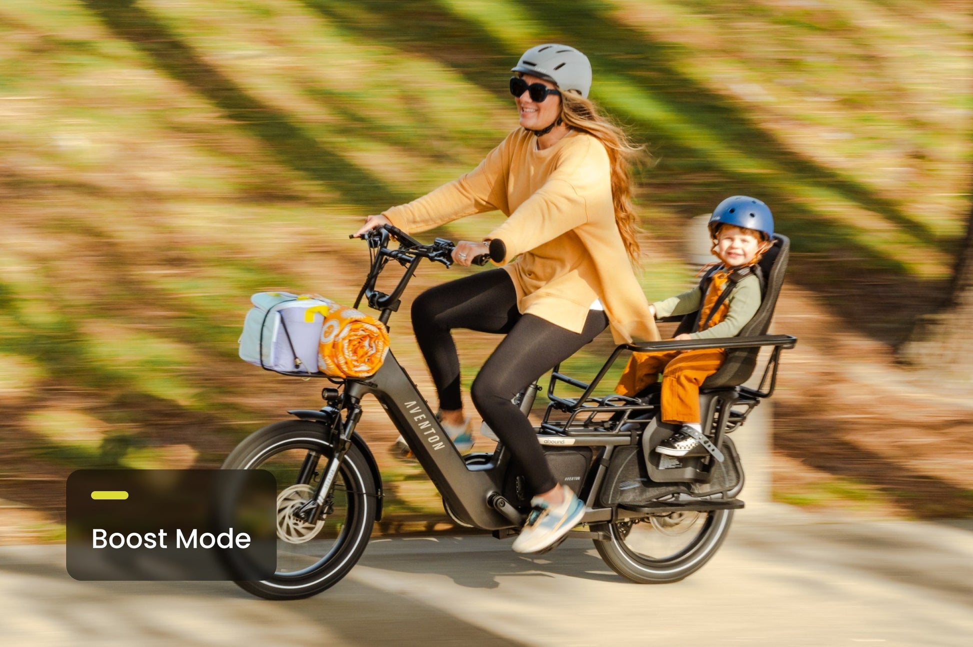 Aventon Abound LR Electric Cargo Bike with 750W Motor
