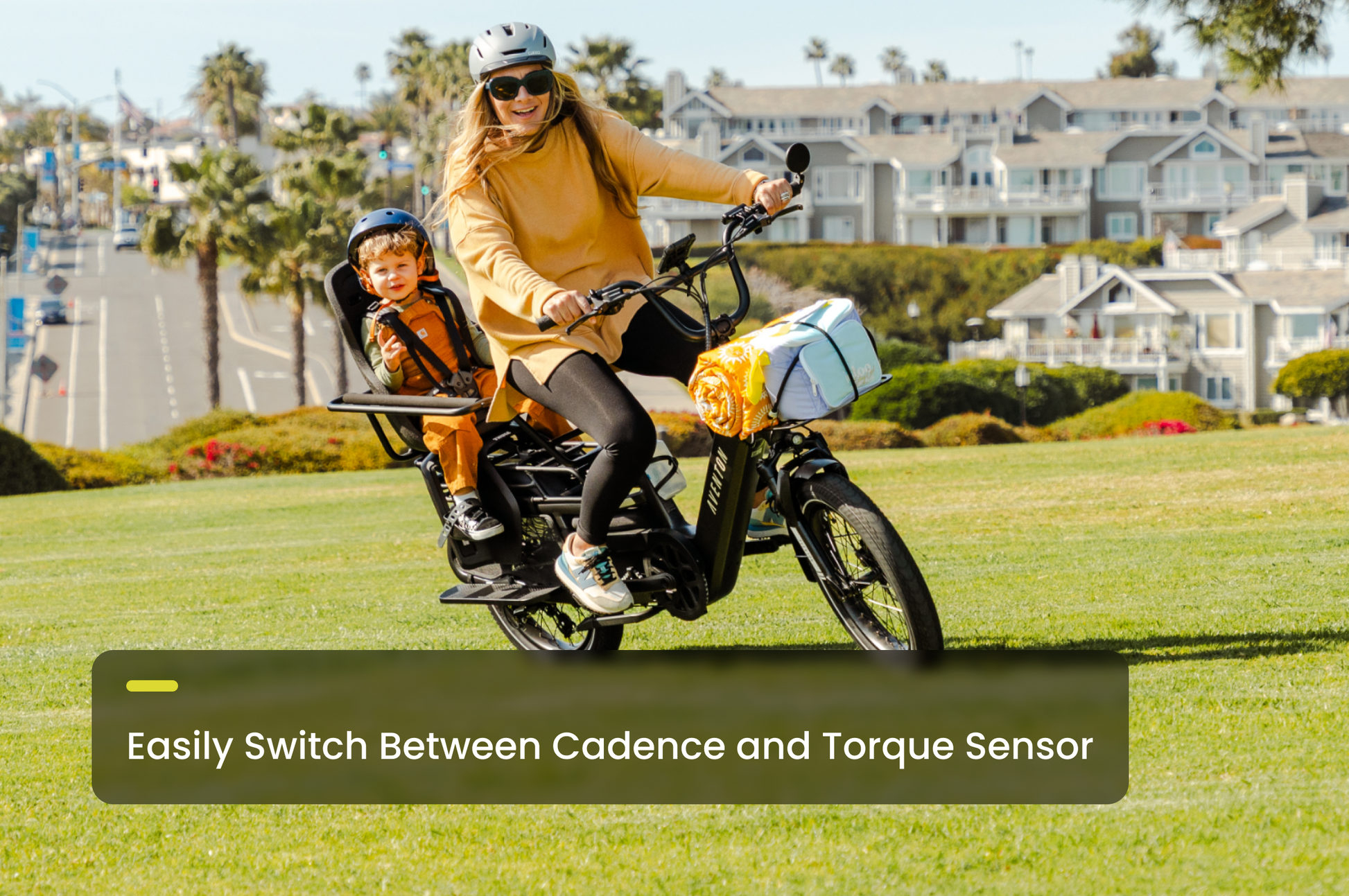 Aventon Abound LR Electric Cargo Bike with 750W Motor