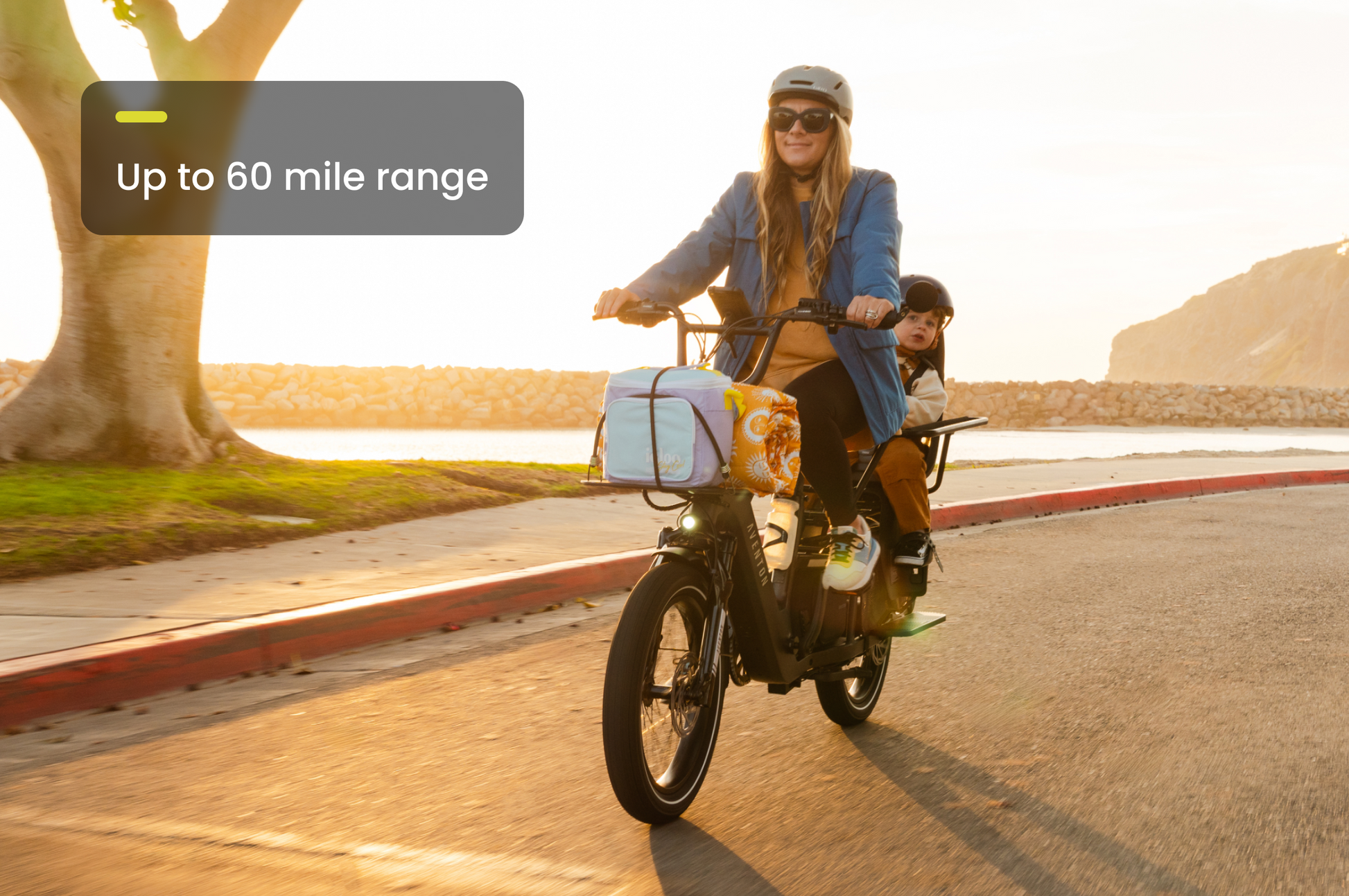 Aventon Abound LR Electric Cargo Bike with 750W Motor