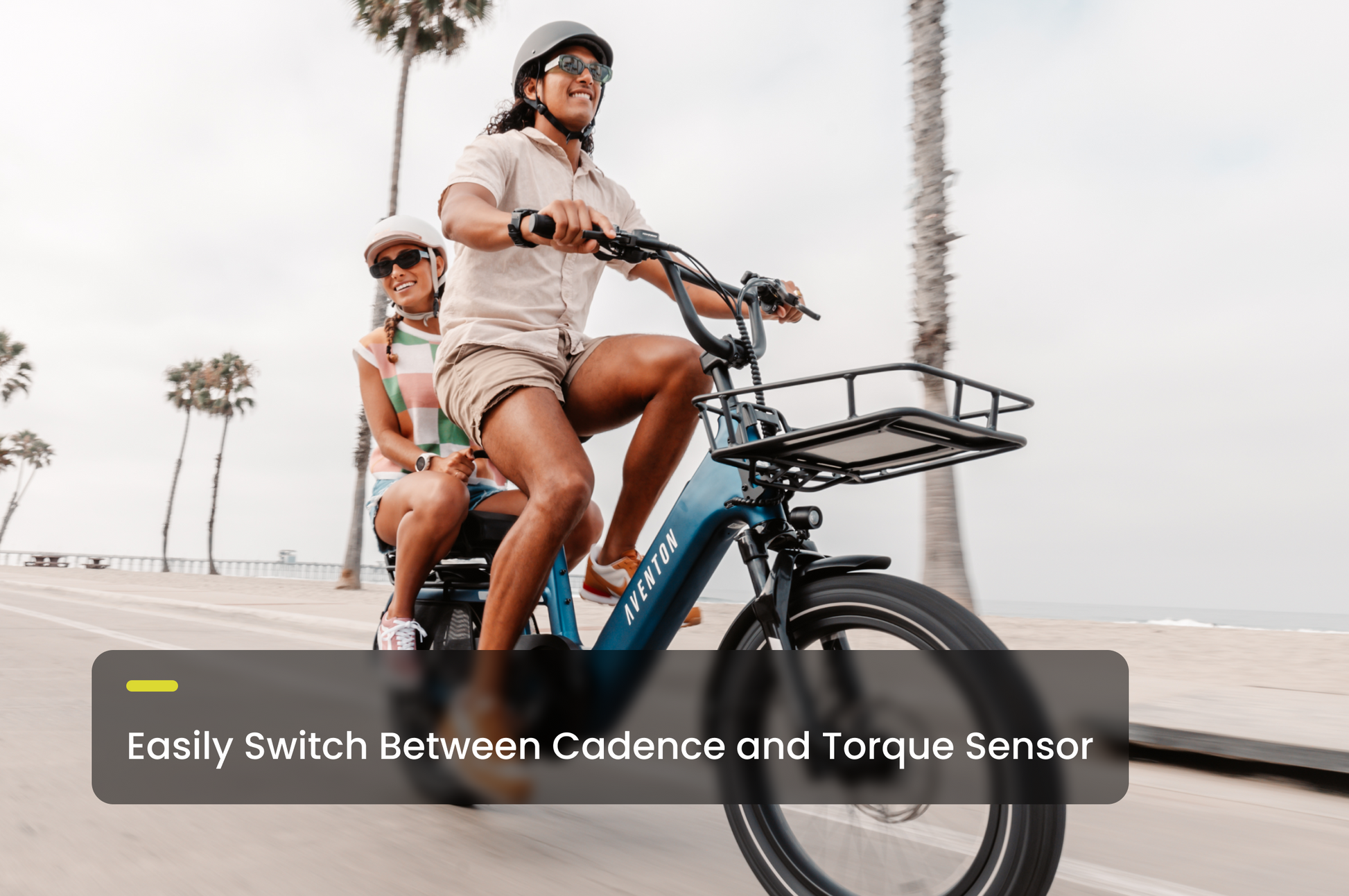 Aventon Bikes Abound SR Electric Cargo Bike 750W Motor