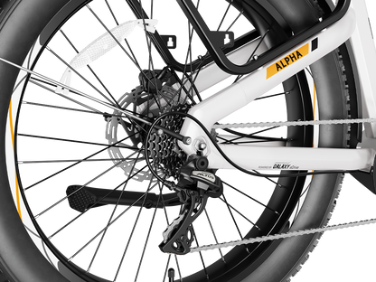 Heybike ALPHA Fat Tire Electric Bike 105Nm Mid-Drive