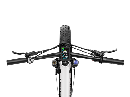 Heybike ALPHA Fat Tire Electric Bike 105Nm Mid-Drive