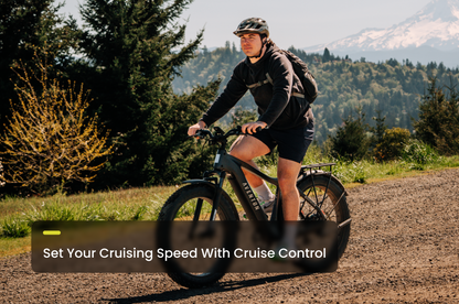 Aventon Aventure 3 Step-Through Electric Fat-Tire Bike