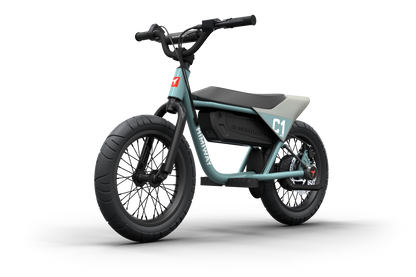 Himiway C1 Kids Electric Bike 16-Inch Fat Tire Adjustable Speed
