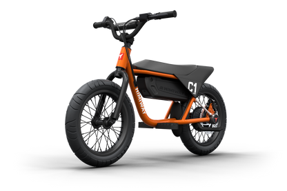 Himiway C1 Kids Electric Bike 16-Inch Fat Tire Adjustable Speed