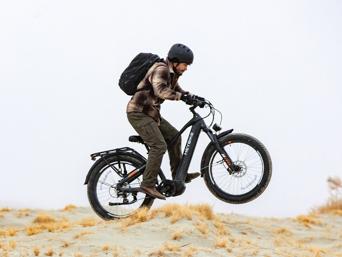 Heybike ALPHA Fat Tire Electric Bike 105Nm Mid-Drive