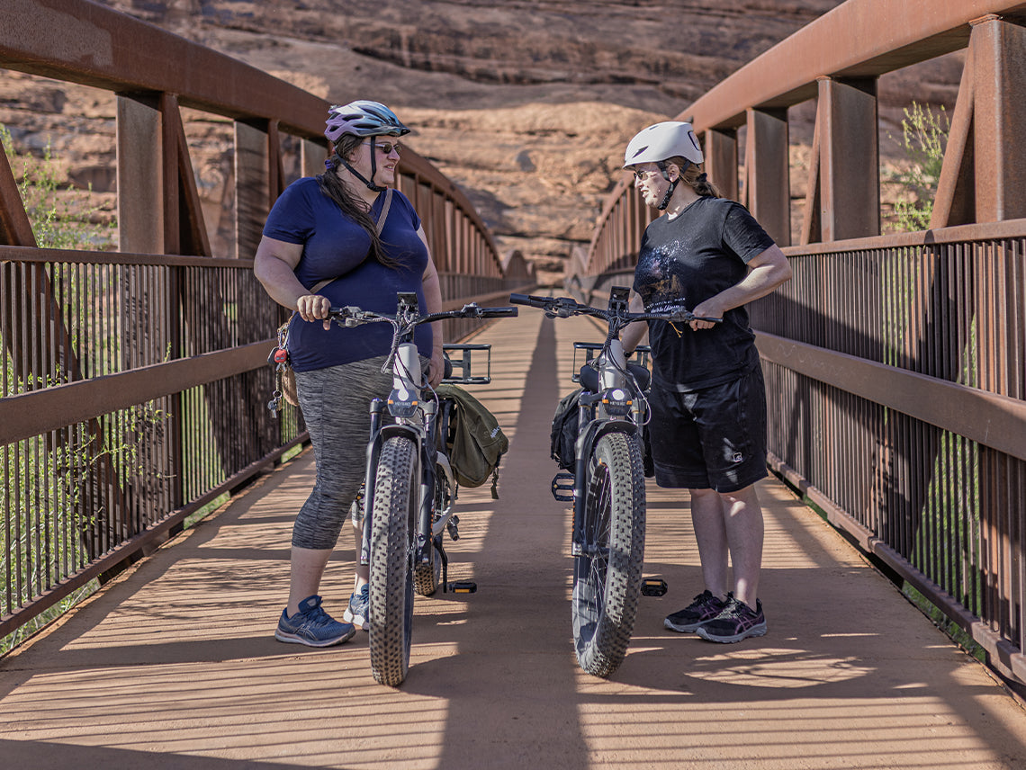 Heybike ALPHA Fat Tire Electric Bike 105Nm Mid-Drive