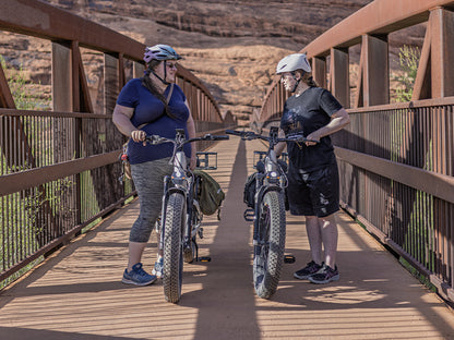 Heybike ALPHA Fat Tire Electric Bike 105Nm Mid-Drive