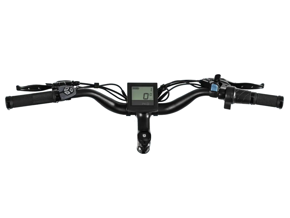 Himiway D3 Cruiser Electric Mountain Bike 750W Fat Tire