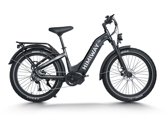 Himiway D5 Pro ST Step-Thru Electric Fat Bike