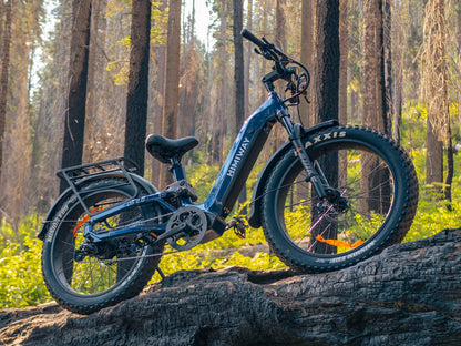 Himiway D5 2.0 ST Electric Bike Full-Suspension Step-Through