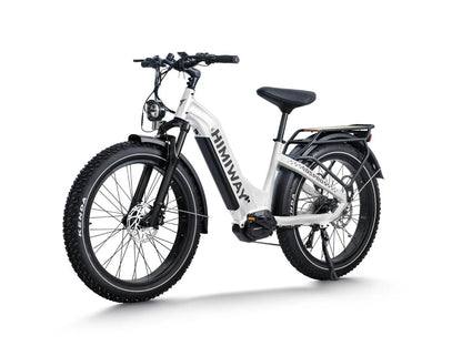 Himiway D5 Pro ST Step-Thru Electric Fat Bike