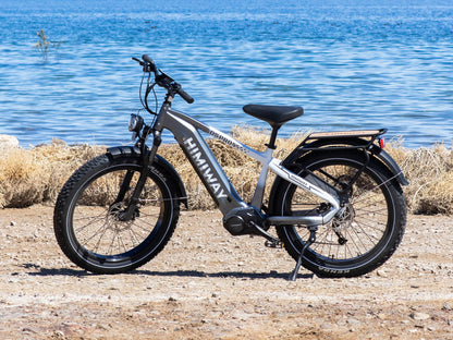 Himiway D5 Pro All-Terrain Electric Fat Bike 960Wh