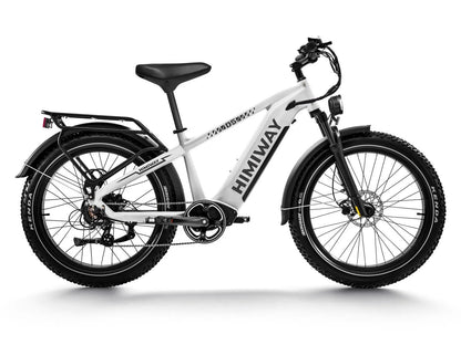 Himiway D5 Zebra All-Terrain Electric Fat Bike 750W
