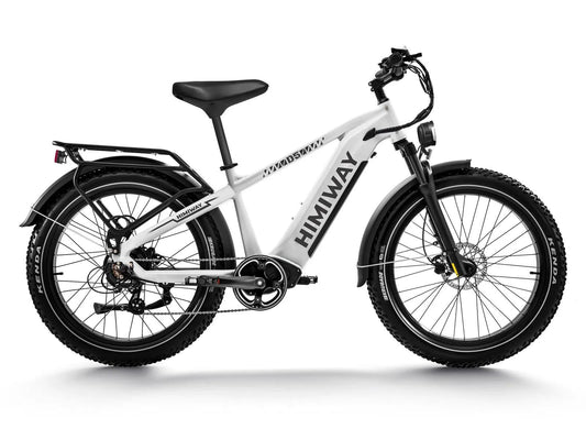 Himiway D5 Zebra All-Terrain Electric Fat Bike 750W