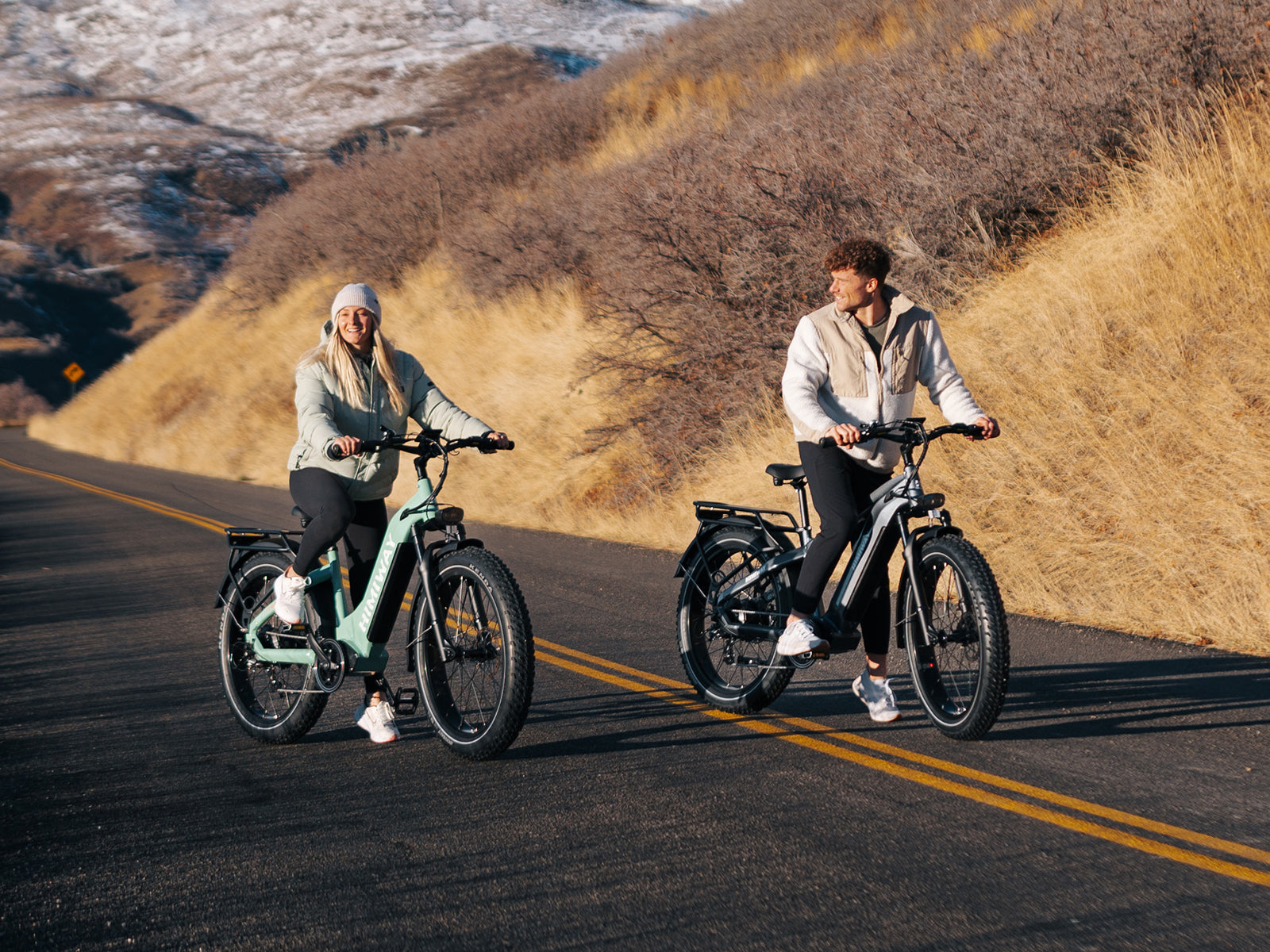 Himiway D5 Zebra 750W Electric Fat Tire Mountain Bike