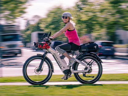 Himiway D5 ST Electric Fat Tire Mountain Bike 750W