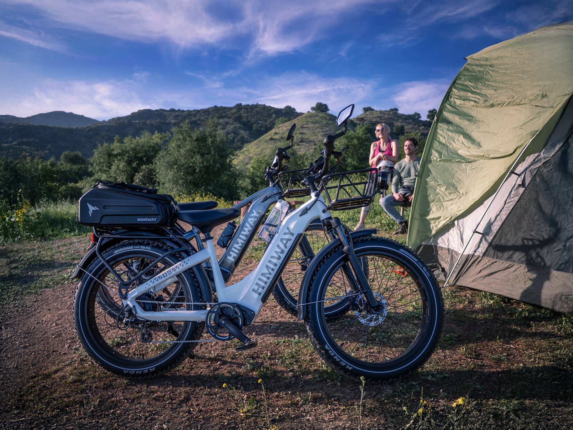 Himiway D5 Zebra 750W Electric Fat Tire Mountain Bike