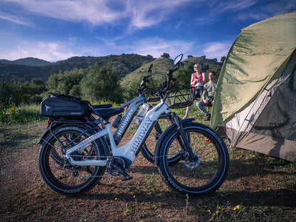 Himiway D5 Zebra 750W Electric Fat Tire Mountain Bike