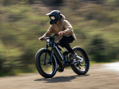 Himiway D7 Pro Electric Mountain Bike 1000W Mid-Drive Fat Tire